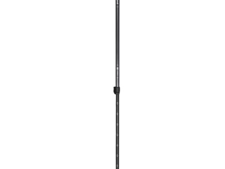 24 Hour Rental: Black Diamond Explorer 2 Trekking Poles Fashion