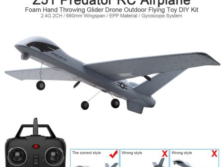 RC Airplane Plane Z51 with 2MP HD Camera or No Camera 20 Minutes Fligt Time Gliders With LED Hand Throwing Wingspan Foam Plane Supply